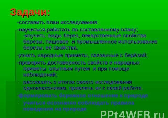 Харчове використання Берези